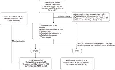 A real-world clinicopathological model for predicting pathological complete response to neoadjuvant chemotherapy in breast cancer